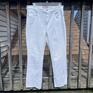 Everlane High Rise Kick Crop in White